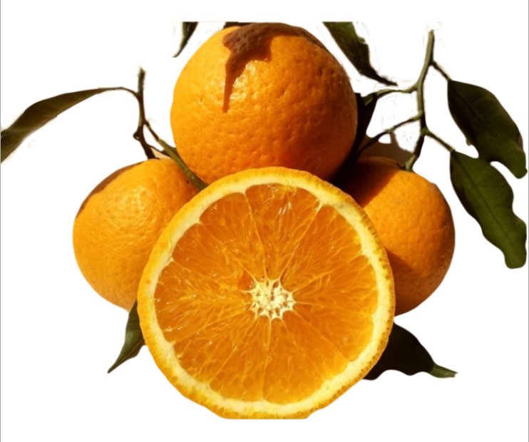 发顺丰四川春见耙耙柑橘子 新鲜粑粑柑非不知火丑橘一件代发批发