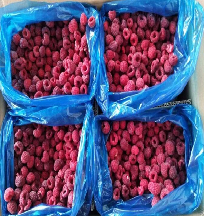 冷冻新鲜红树莓10kg