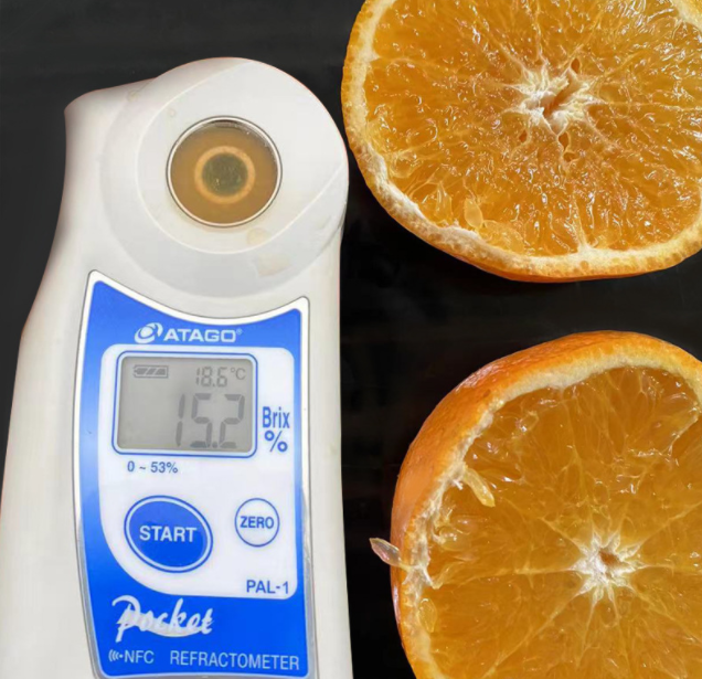 沃柑  9斤精选特大果（75+）