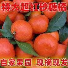 特大沙糖桔超甜薄皮果冻橘子桔子新鲜水果蜜桔 6斤 ' 新品血红砂糖橘[爆甜大果5-