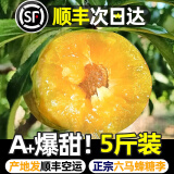 骄瑰正宗贵州六马蜂糖李水果 顺丰隔日达 脆甜脱骨李子新鲜水果当季 5斤（40-45mm）精品中果 顺丰空运