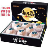 山东莱阳秋月梨羊脂当季新鲜特级整箱雪梨丰水中秋礼盒孕妇水果 10斤带箱（礼盒装+手提袋）