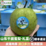 甜农人山东千脆蜜梨 顺丰秒发 青皮梨 翡翠梨 脆甜多汁 新鲜水果 5斤