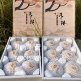 秋月梨礼盒装新鲜当季水果黄梨冰糖梨山东莱阳梨皮薄多汁顺丰 礼盒装 6颗大果约4.5-5斤