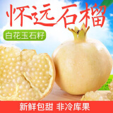正宗怀远玉石籽石榴新鲜石榴怀远红玛瑙礼盒装 白花玉石籽3斤【单果约半斤】