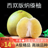 大象芭蕾西双版纳傣柚东试早柚金柚青柚子云南蜜柚新鲜水果孕妇水果纯甜 特大果4个【净重9斤左右】