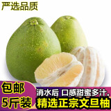 新上市台湾品种文旦柚子老树柚11斤原箱/5斤家庭装新鲜水果 5斤装