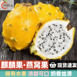 甜农人麒麟果 燕窝果 甜高端水果 黄皮火龙果 热带稀有 孕妇新鲜水果 4斤礼盒装（6-8个） 精选果