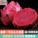 金都一号红心火龙果（顺丰） 蜜宝 红肉 新鲜水果 大果 8斤(净重) 精选
