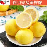 素味清欢四川安岳黄柠檬当季新鲜奶茶饮品店专用泡水柠檬孕妇时令水果整箱 9斤特大果甄选装